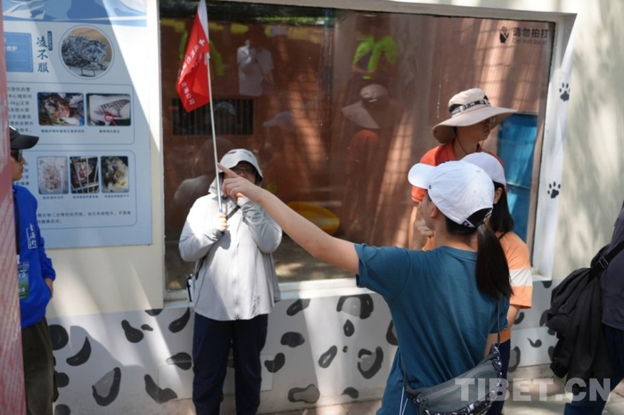 图为香港学生陈曦彤在青藏高原野生动物园询问有关雪豹“凌不服”的情况 摄影：王茜