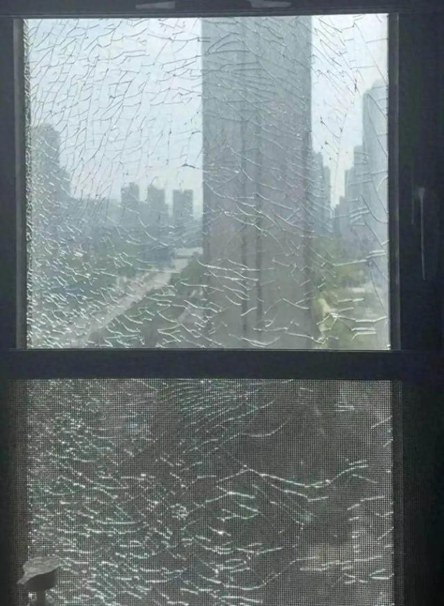 图源：央视网