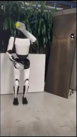 资料来源：X平台，Tesla Optimus账号，山西证券研究所