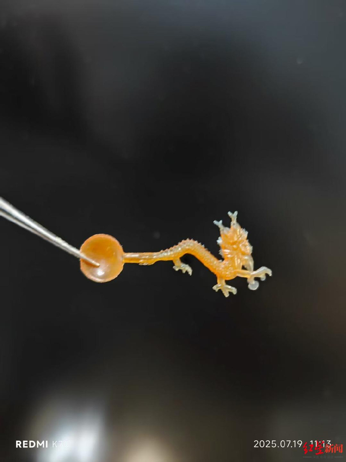 龙形小勺  受访者供图