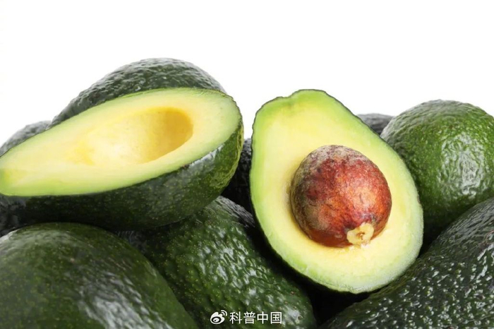 图库版权图片，转载使用可能引发版权纠纷