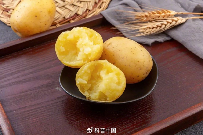 图库版权图片，转载使用可能引发版权纠纷