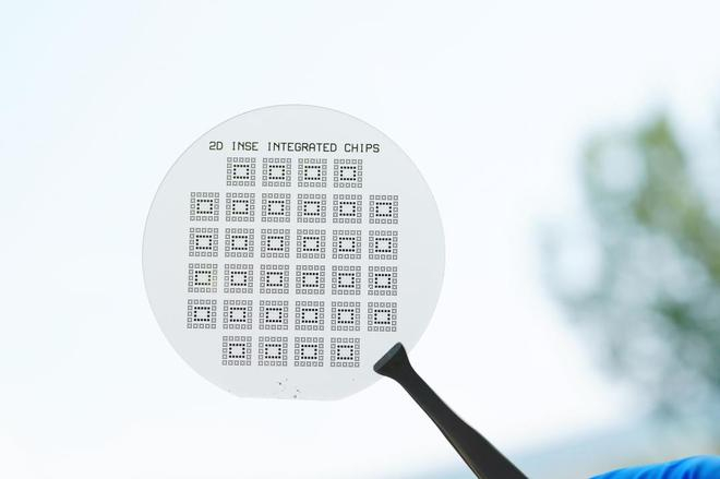 图 | 硒化铟半导体集成晶体管阵列（来源：姜建峰）