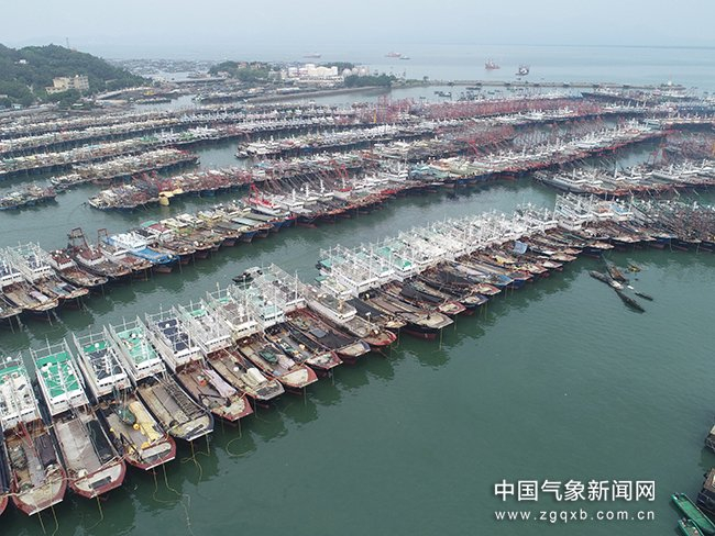 7月19日，广东省阳江市台风白色预警信号升级为蓝色。图为阳江海陵闸坡渔港停满安全回港避风的渔船 梁健新 摄影