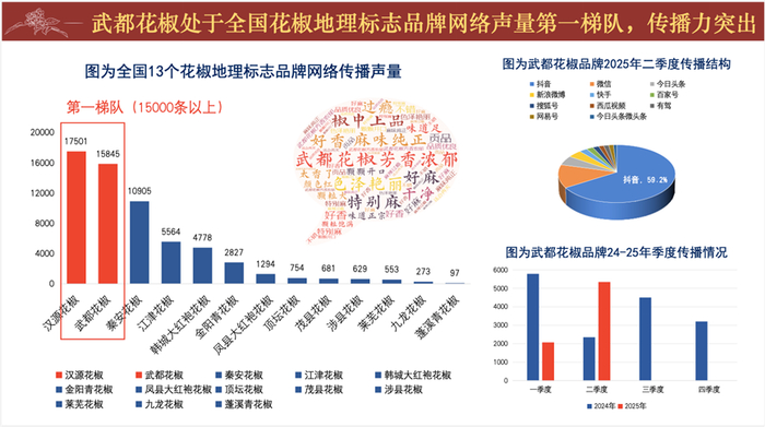 图为《蓝皮书》发布解读材料
