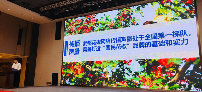 图为活动现场