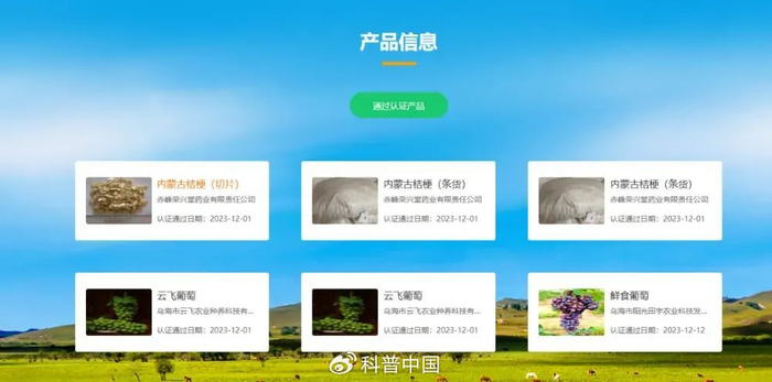 图片：“蒙”字标官网