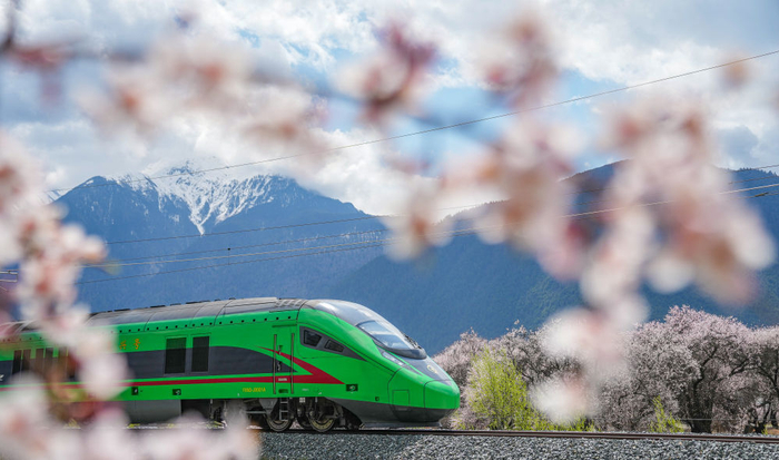 复兴号列车穿行在拉林铁路林芝段（2025年4月2日摄）。新华社记者 丁增尼达 摄