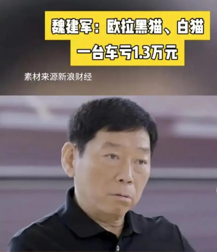 图/黑猫和白猫车型一台车亏1.3万元