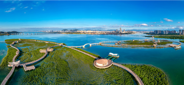 厦门下潭尾红树林公园，红树郁郁葱葱 王火炎摄