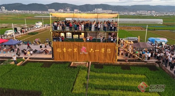 通海六一社区牛角坝塘稻田观景台 龚瑞清 摄