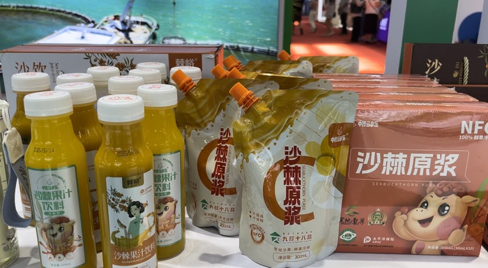 沙棘系列产品