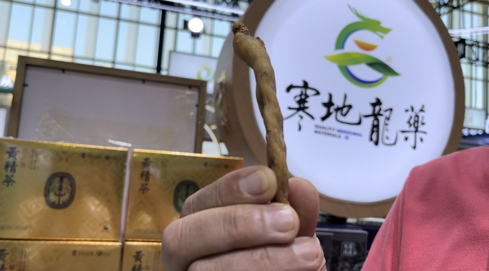 寒地黄精