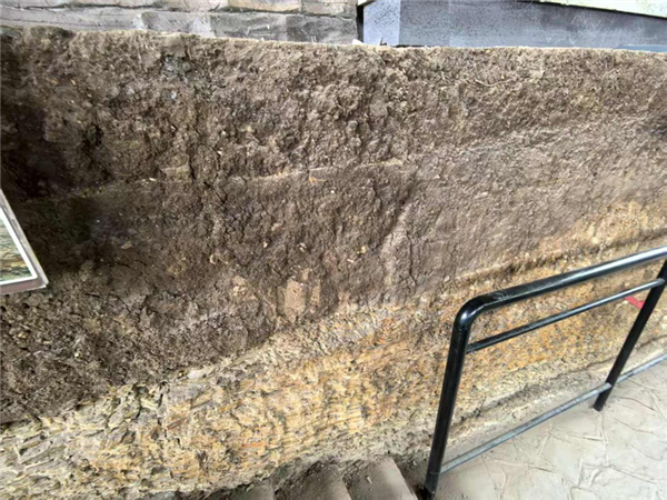 在辽宁朝阳市出土的白垩纪早期冻土痕迹，表明那个时期的辽宁一带相当寒冷。图源：作者本人拍摄