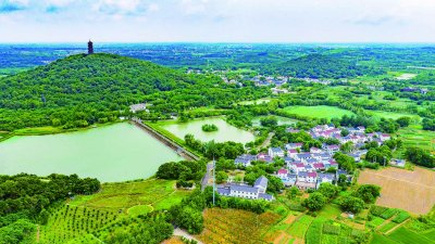 生态环境优美的石墙围民宿村。 南京日报/紫金山新闻记者 沐剑平 摄