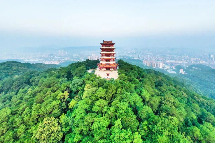 绿美韶关。