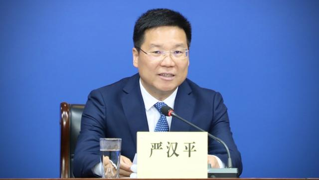 严汉平 资料图