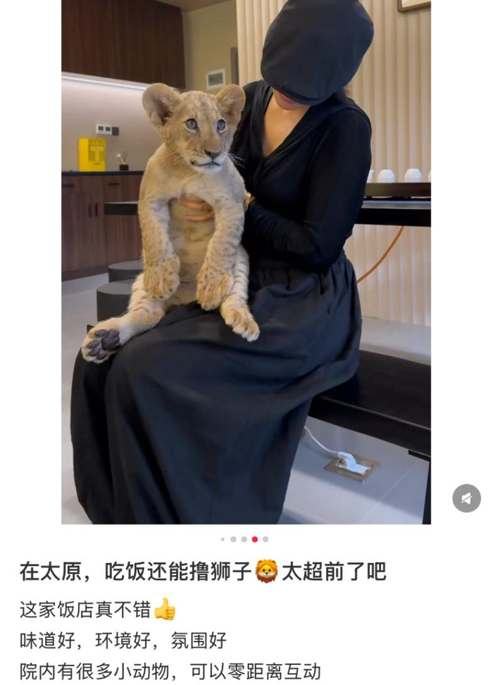 ▲某社交媒体平台图文