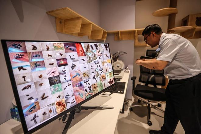 图为在宠物友好研究室内，3D打印机正在打印各种类型的宠物粪便样本，以便进行相关模拟测试。如扫地机器人的视觉避障等测试。