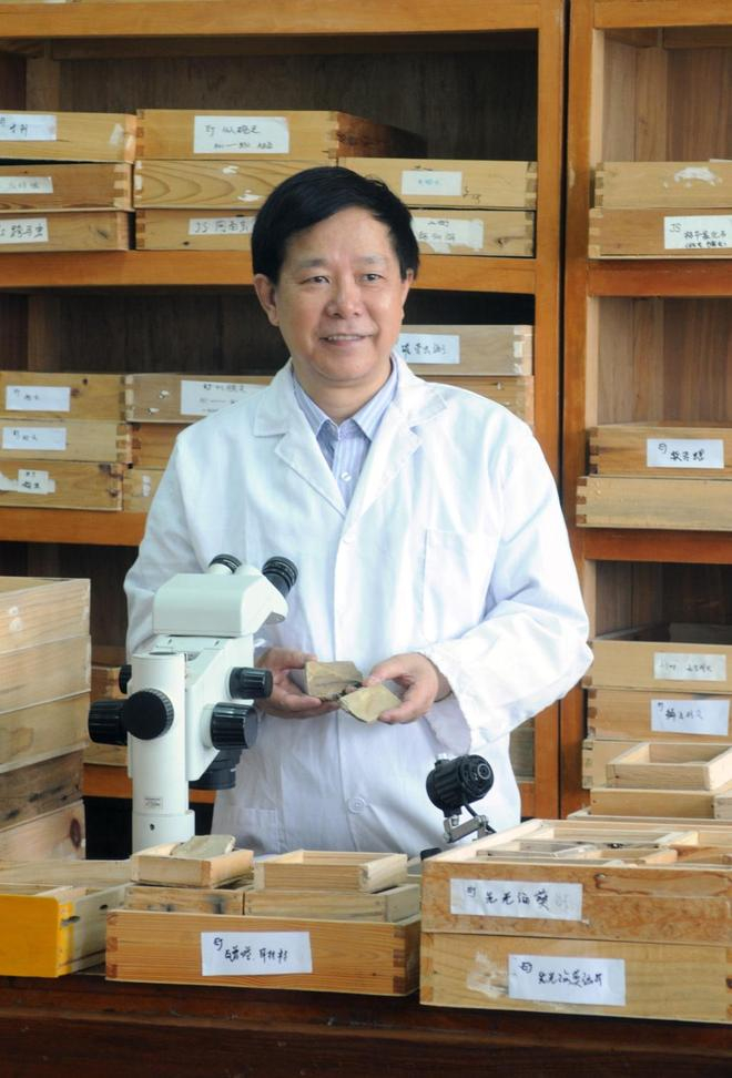 舒德干在鉴定化石。受访者 供图