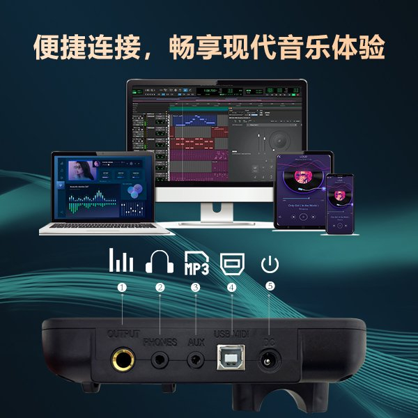 　　产品结构示意图