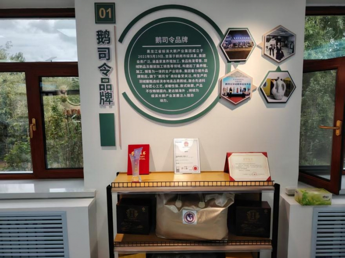 政策赋能与未来蓝图：白羽腾飞的底气