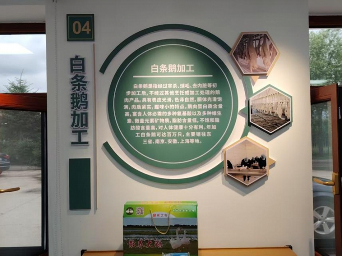 政策赋能与未来蓝图：白羽腾飞的底气