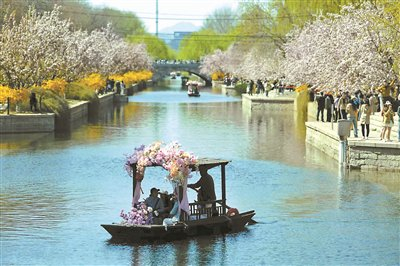 海棠花溪