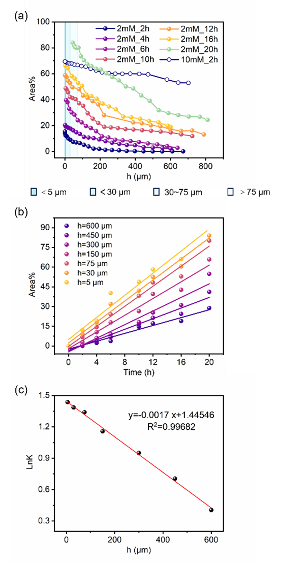 google sem是什么意思