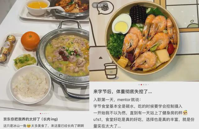 ▲图源/小红书截图