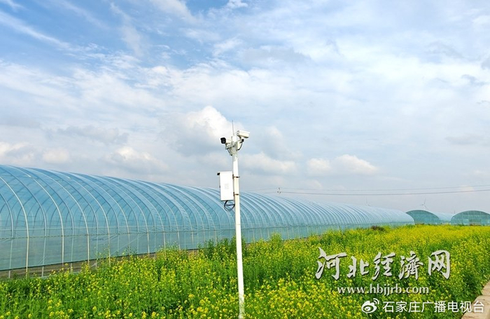 张北县郝家营乡现代设施农业产业园内的蔬菜大棚。河北经济日报记者 吴苗苗 摄