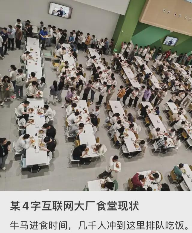 ▲图源/小红书截图