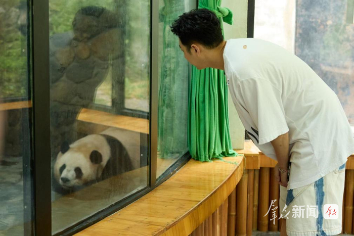 美腕主播高声探访熊猫谷景区