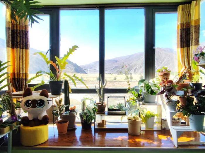 ▲沈辉的房间窗外就是连绵群山。
