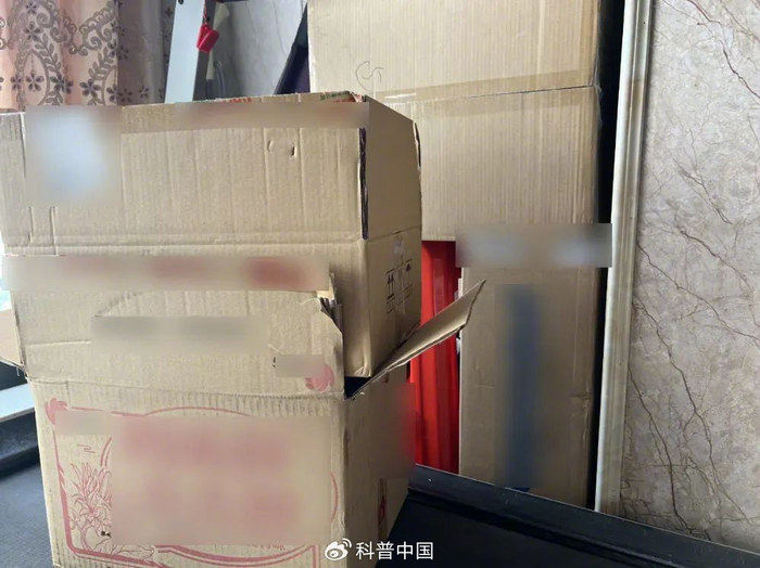 堆着的纸箱 图片来源：作者拍摄