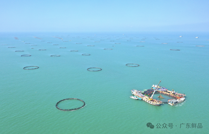 湛江发展海洋经济潜力无限