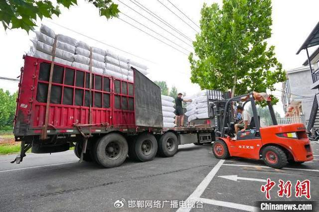 图为7月16日，邯郸市苏洋劳动防护用品有限公司正在将10万双手套打包装车，准备发往泰国和印度尼西亚市场。 杜昕雨 摄