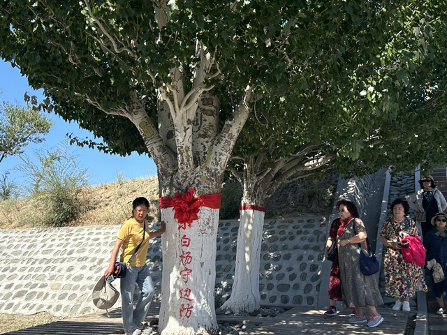 龙坤澜 摄