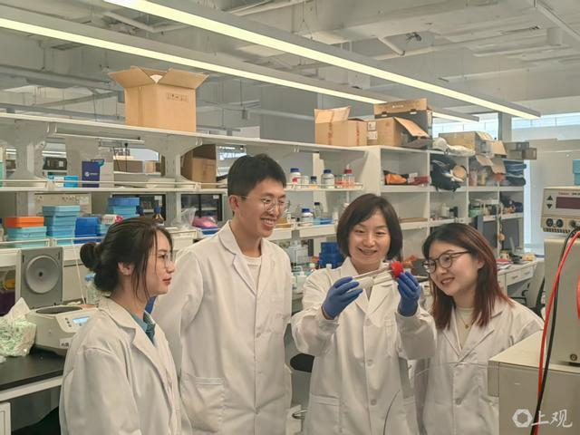陈玲玲（右二）与共同第一作者潘宇航（左二）、单琳（右一）和张宇瑶（左一）。黄海华 摄