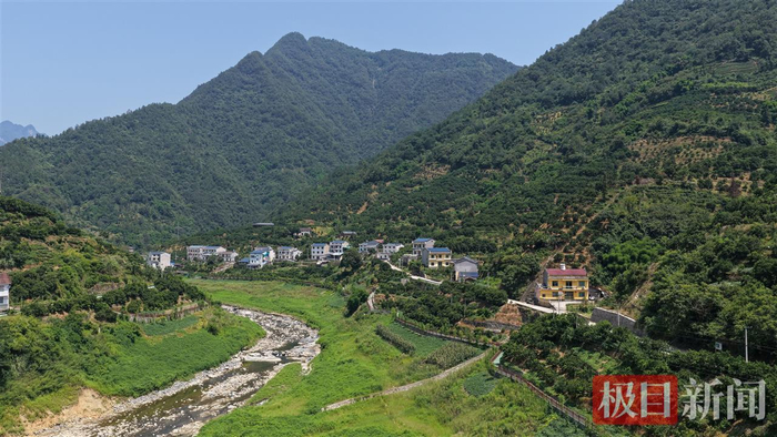两岸山坡上橘林茶园郁郁葱葱