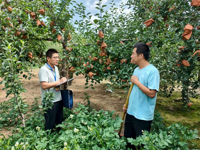 2025年6月，静宁县委第三巡察组入户了解苹果产业发展情况。