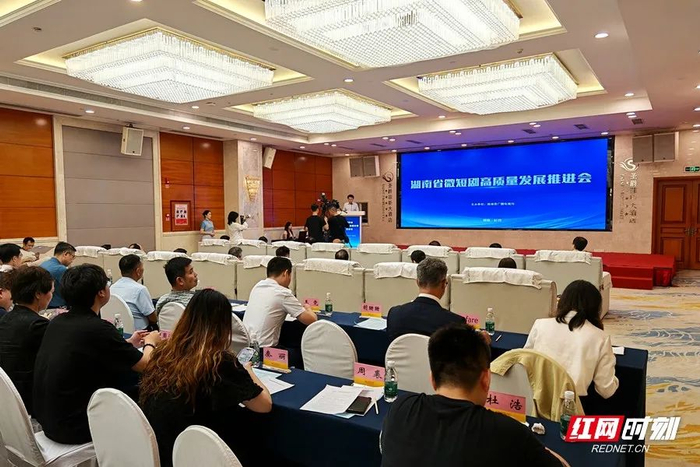 7月24日，湖南省微短剧高质量发展推进会在长沙举行。本文摄影/胡邦建
