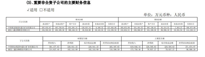 中金黄金2024年报披露的重要子公司财务信息（数据来源：中金黄金年报）