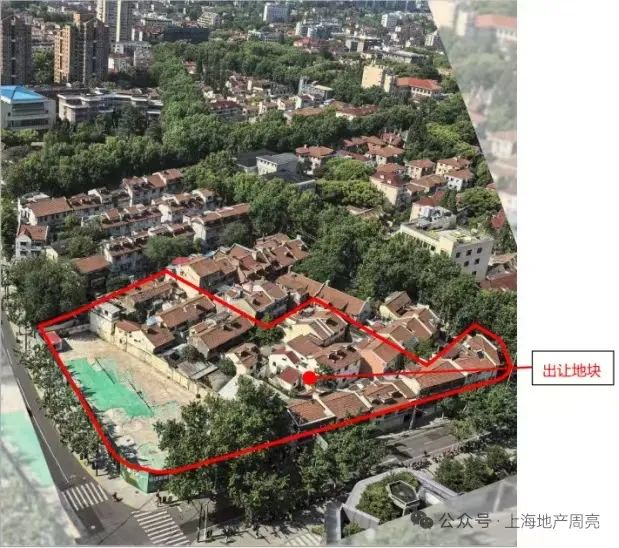 （图片来源于网络）