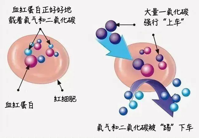图源：深圳卫健委