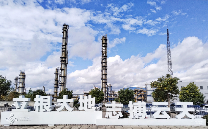 图为：云天化大为制氨合成氨装置