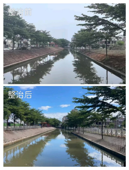 长美村环境整治