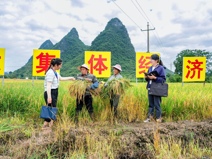 镜头丨护航美丽乡村建设