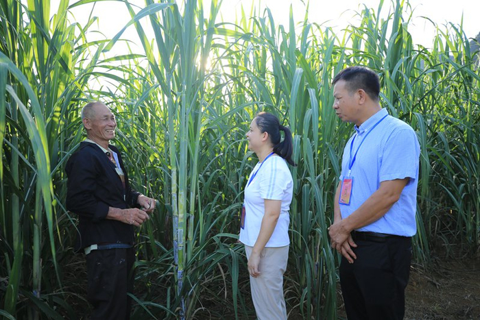 镜头丨护航美丽乡村建设