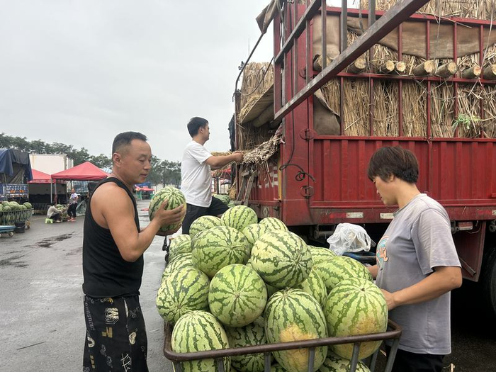 新发地商户正在搬运西瓜。新京报记者 陈琳 摄